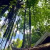 lesyeuxdelamer02