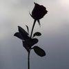 user19876newone