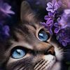 user4495403143108