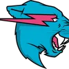 mr.beast.offical36