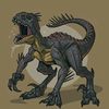 paleodoise1