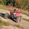 arsenii_37537