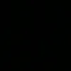 veron_9113