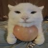 apple.user7578894