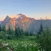 nature_.enjoyer141