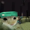 tmbnsei