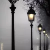 user5524520078006