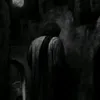 12..m__