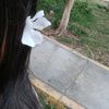 wsx.naomi