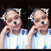 dihh_ninn