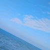 camigutierrez75