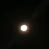 al715395