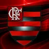crf021rj
