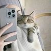 roya.yousef5
