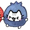 pucca_y4