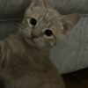 chumtheofficialaccount