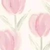 user6mi8m04w7j