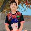 user1769154