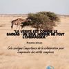 mame_khalil_gbs90