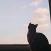 sam020319