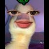 user4685655411401