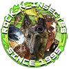 Rock_n_insectes.live