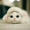 panda230301