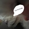 짱뿡😽