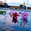 itz__jannat99