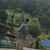 donye6578