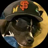 dogidy06