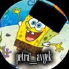 petrapetrarendipa