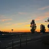 elya_rh07