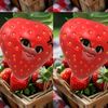 cesii_1mupp