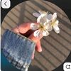husnfa_8