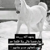 assaf_assaf111