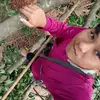 mr_2545
