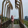 mynar.mulya