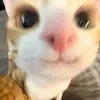 sophiaa_hihi