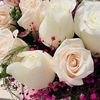 yosrameherzi768
