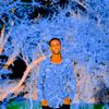 wllmohan008