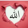 shadhaa.alsaeidih