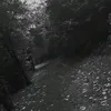 fw.jxsminee