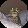 kiwi.kiwi009