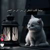 user4938492943808