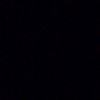 black_rose_405