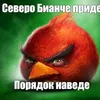user6llxssuyt6