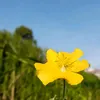 mwendaa76