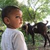 villageinsider2