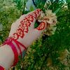 mahiii531_